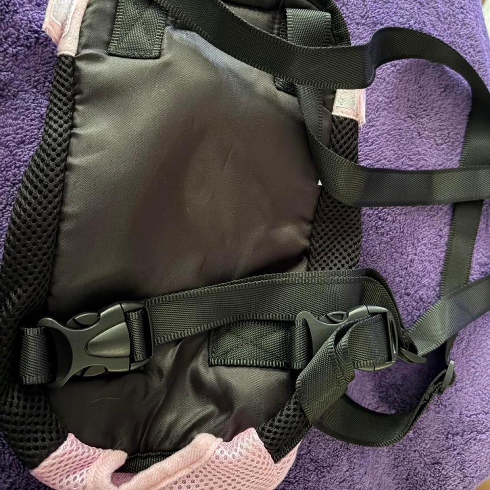 Dog back pack - Picture 2 of 3